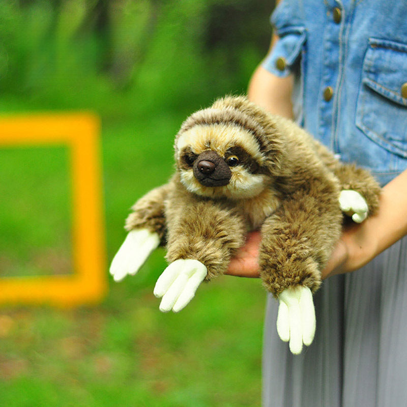 Sloth