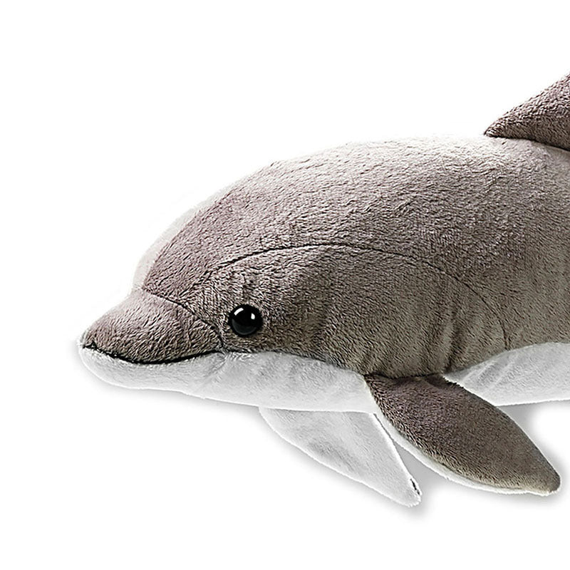 Dolphin
