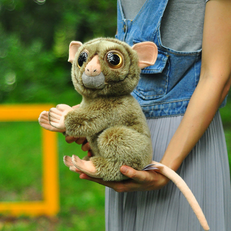 Tarsier