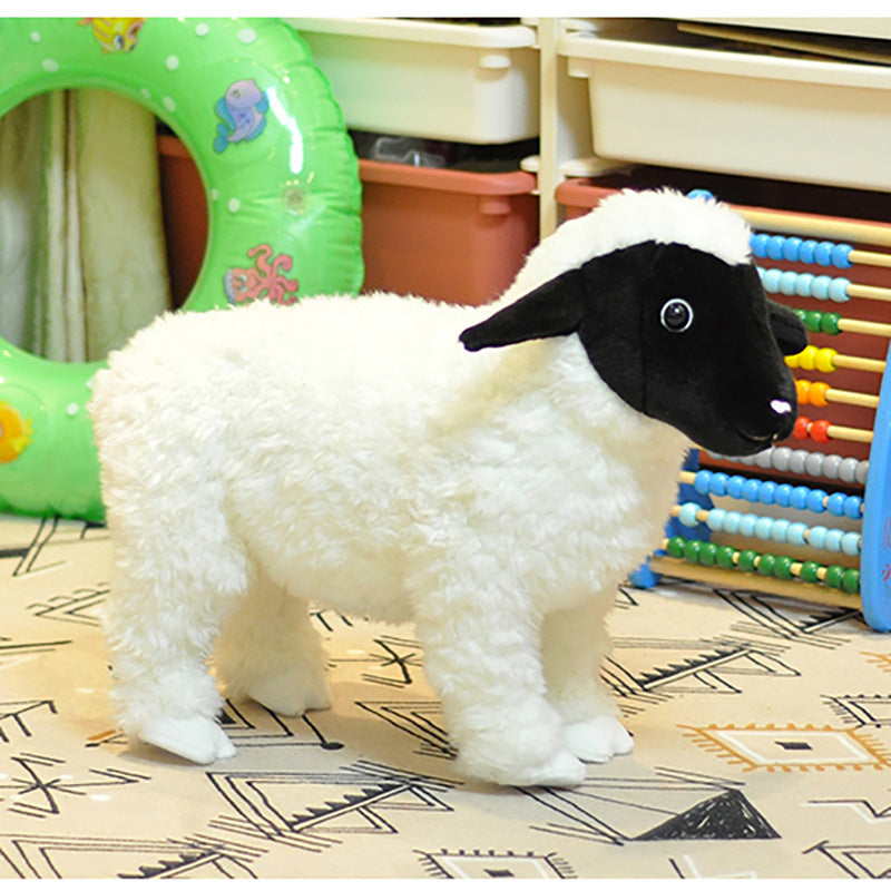 Valais Blacknose Sheep