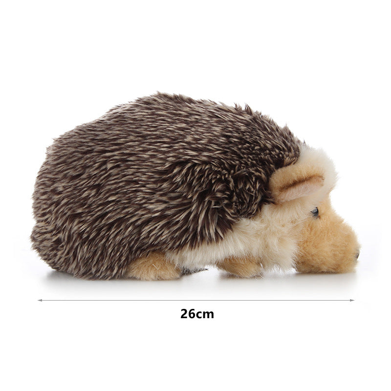 Hedgehog