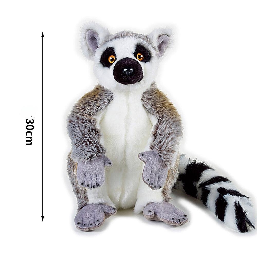 Ring-tailed Lemur