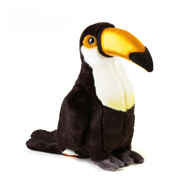 Toco Toucan