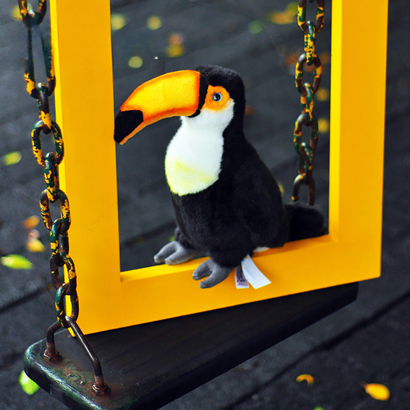 Toco Toucan