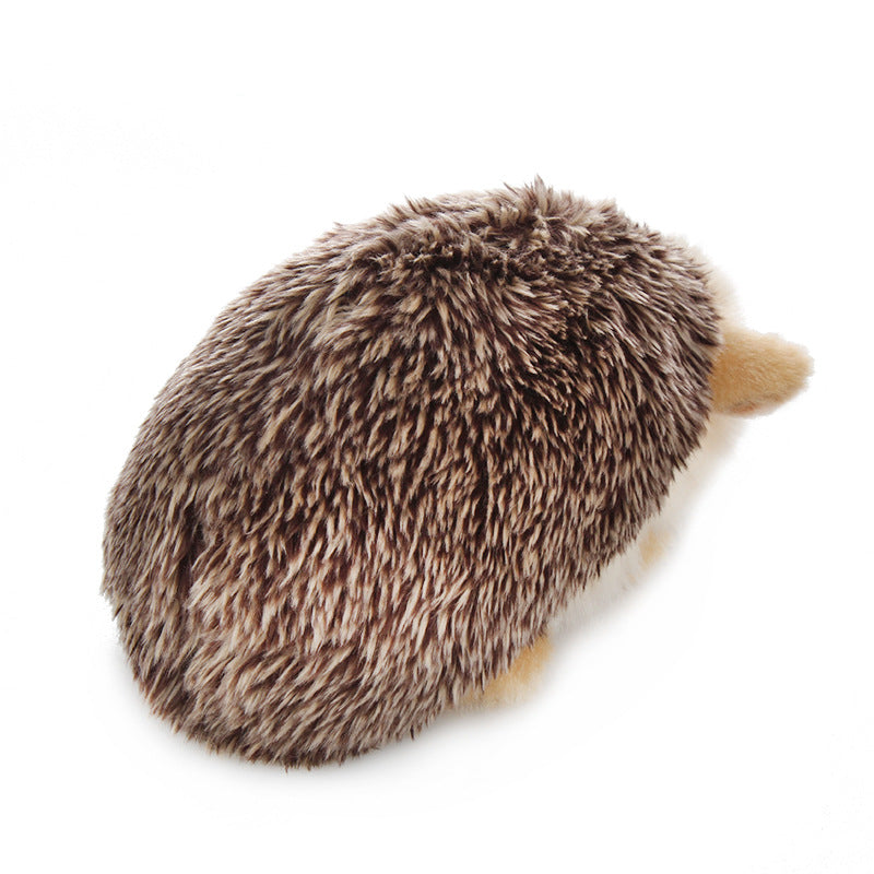 Hedgehog