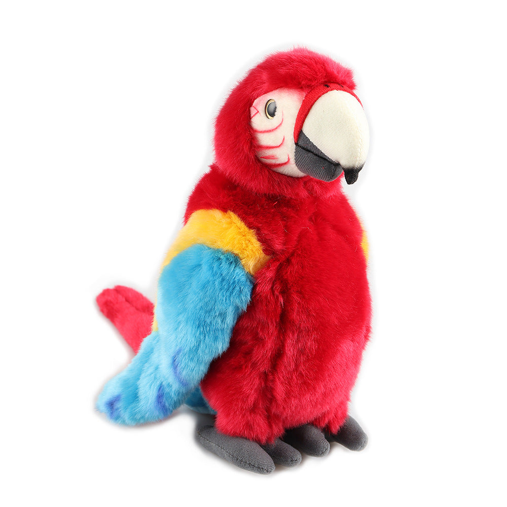 Scarlet Macaw