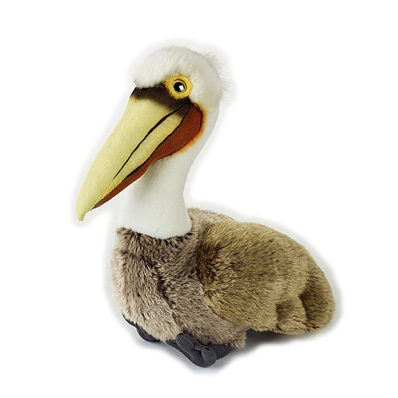 Pelican
