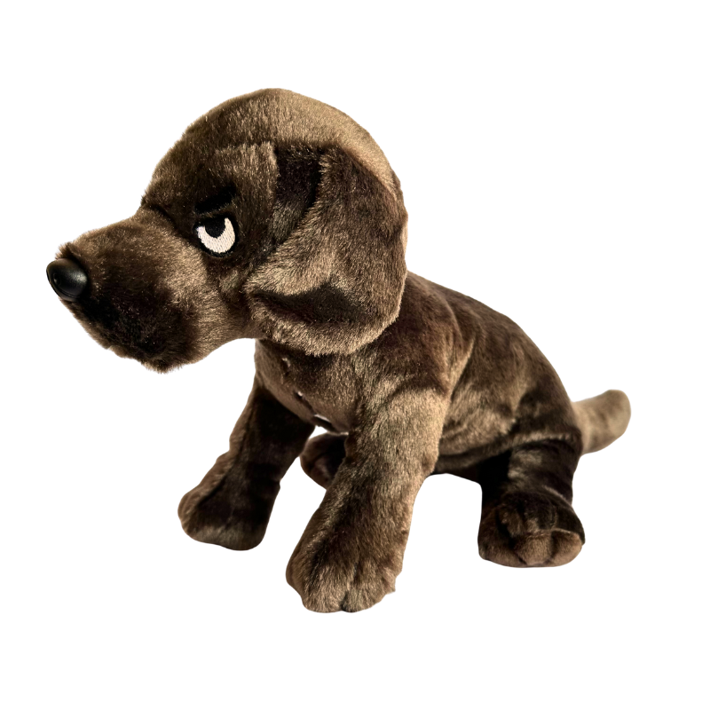 Dunkin The Knife Dog