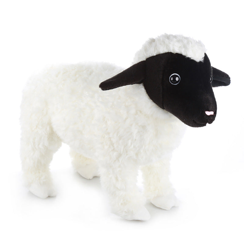 Valais Blacknose Sheep