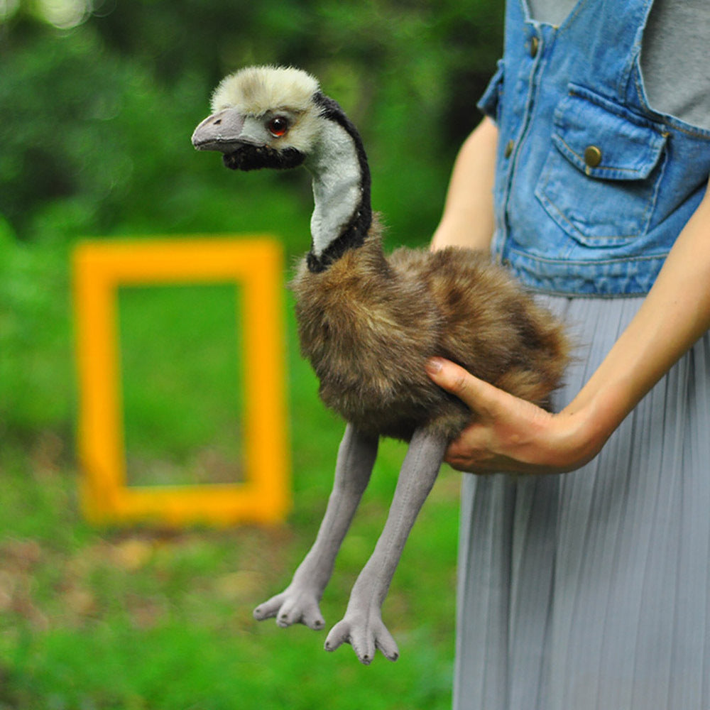 Emu