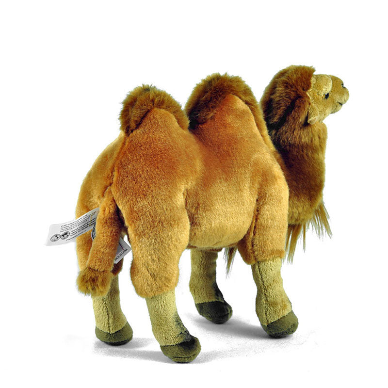 Bactrian Camel