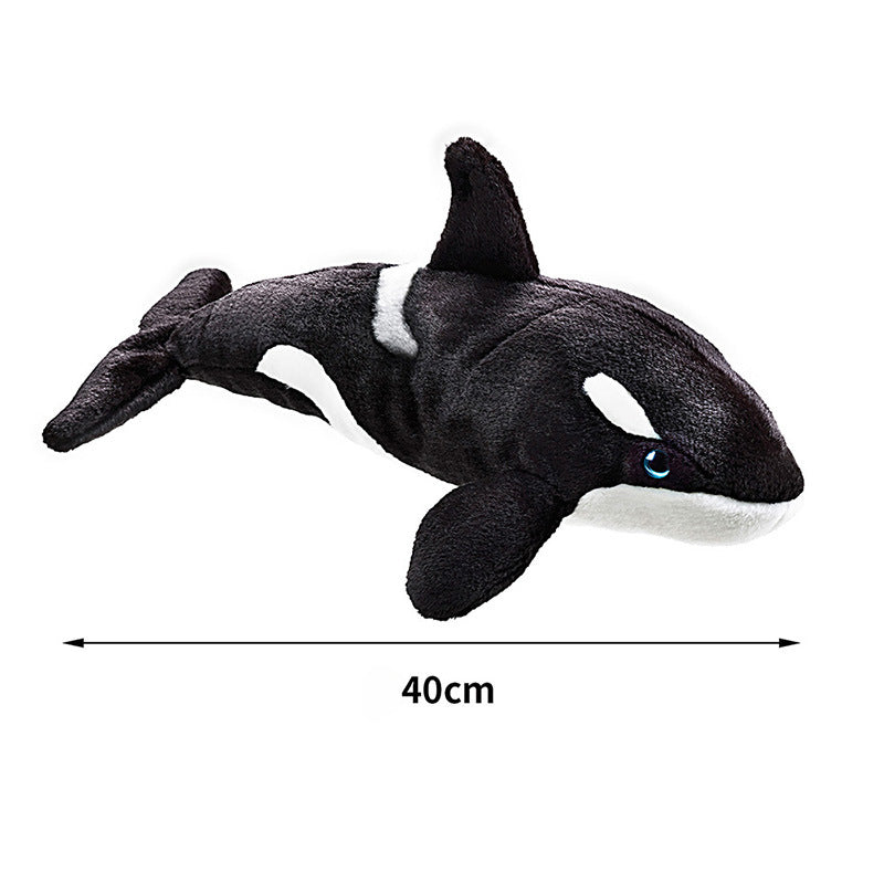 Orca