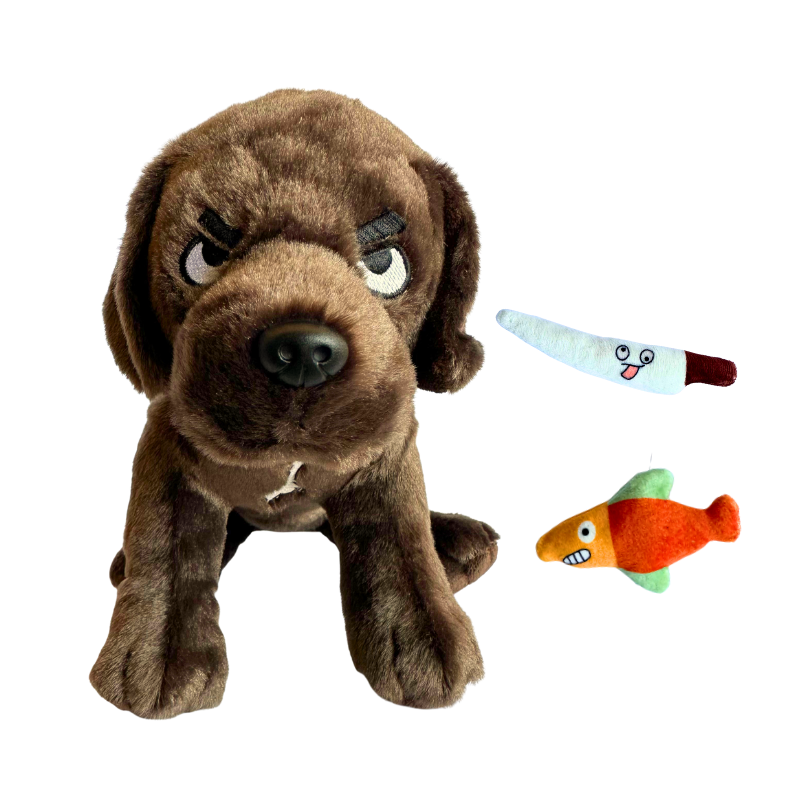 Dunkin The Knife Dog