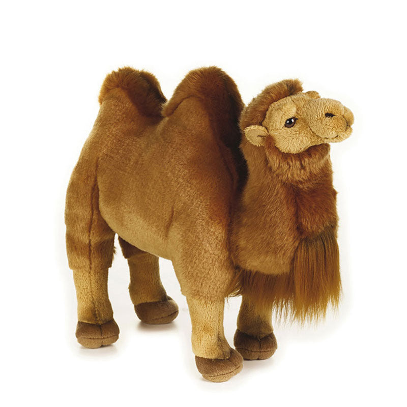 Bactrian Camel