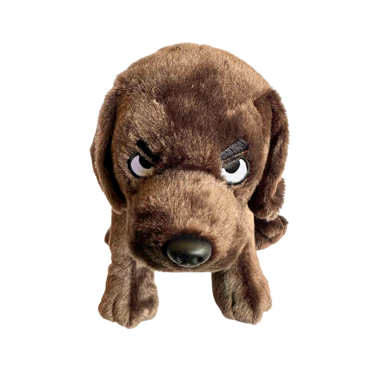 Dunkin The Knife Dog