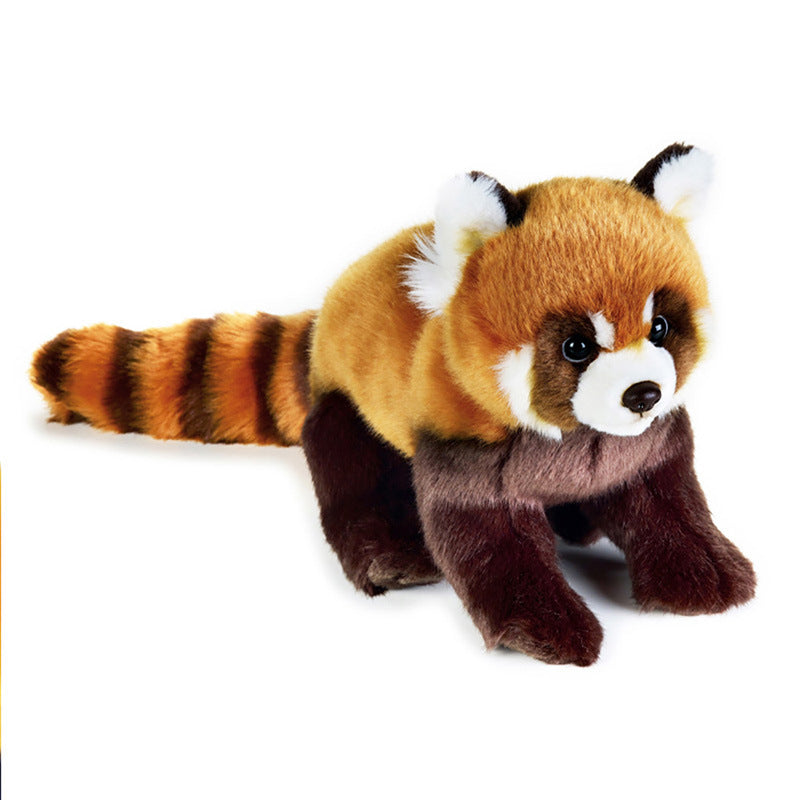 Red Panda