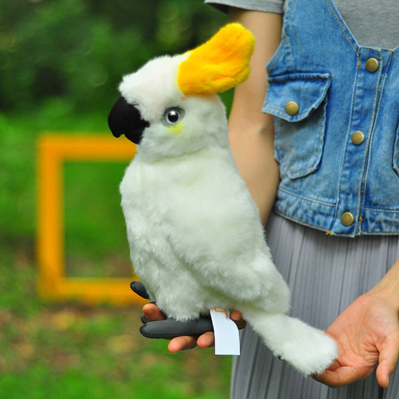 Cockatoo