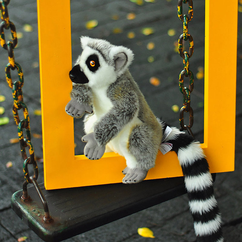 Ring-tailed Lemur