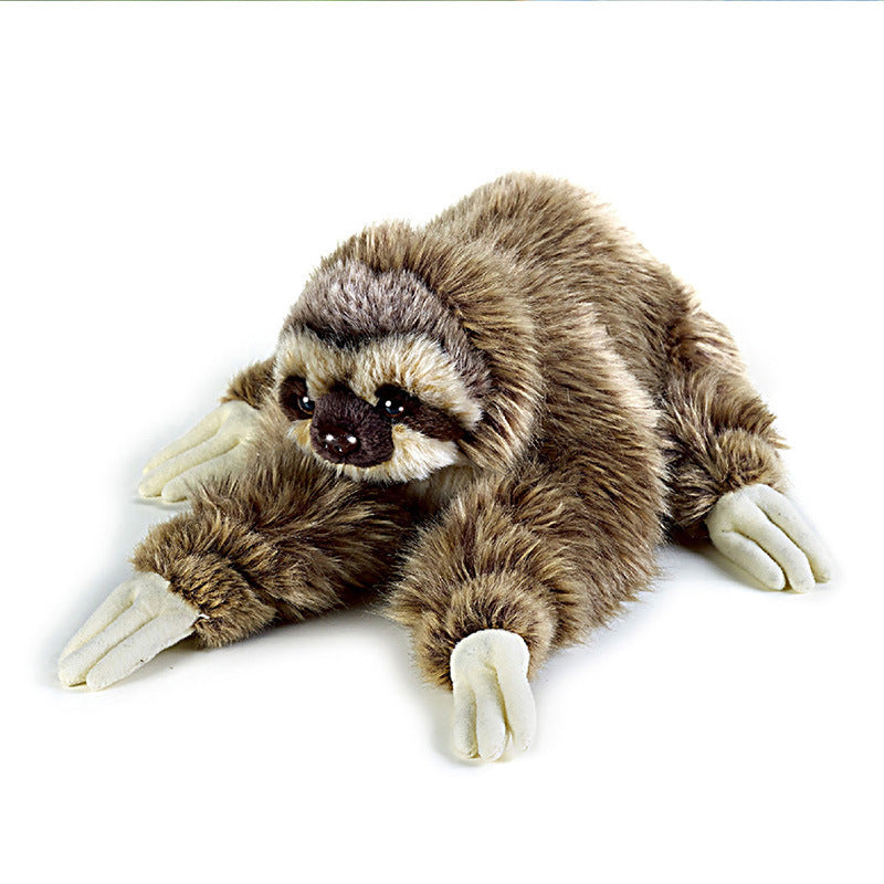 Sloth
