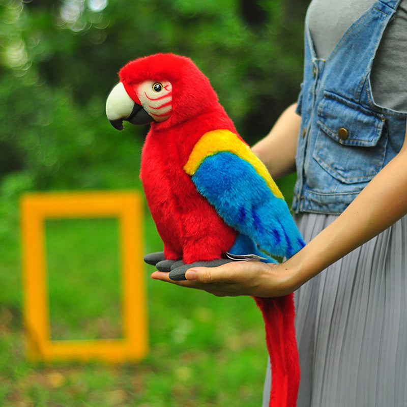 Scarlet Macaw