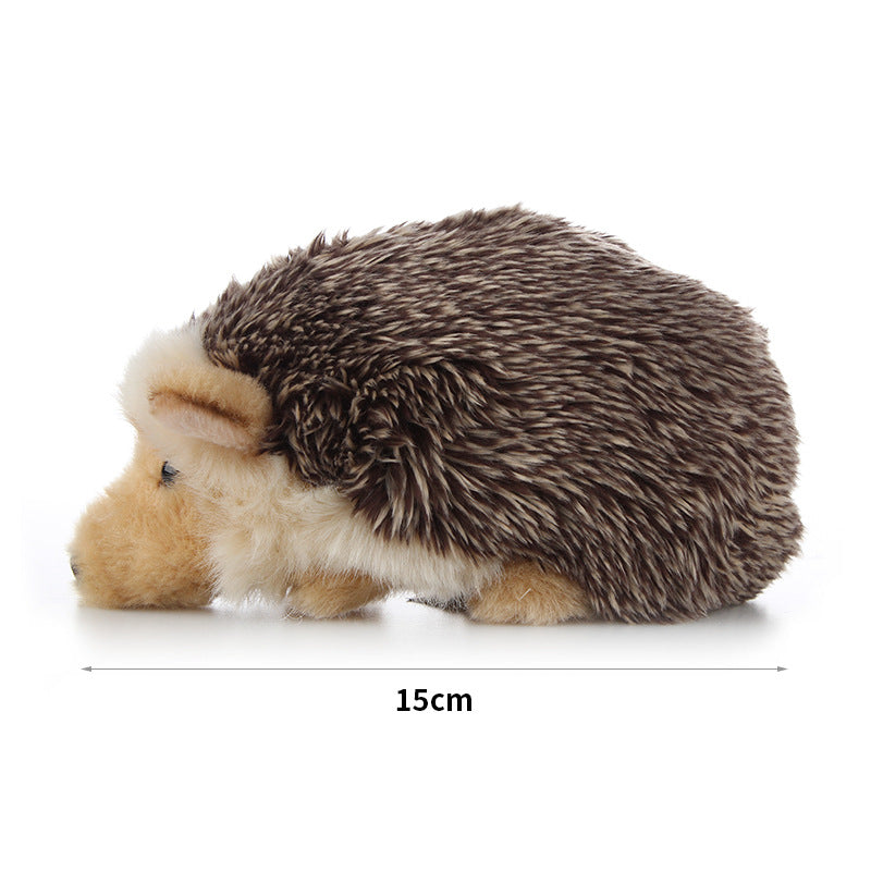 Hedgehog