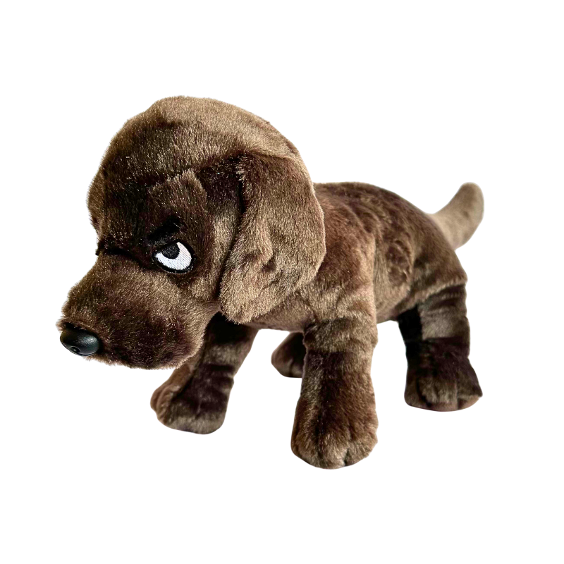 Dunkin The Knife Dog