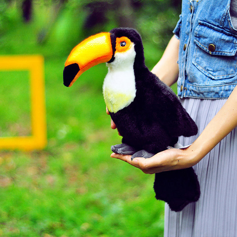 Toco Toucan