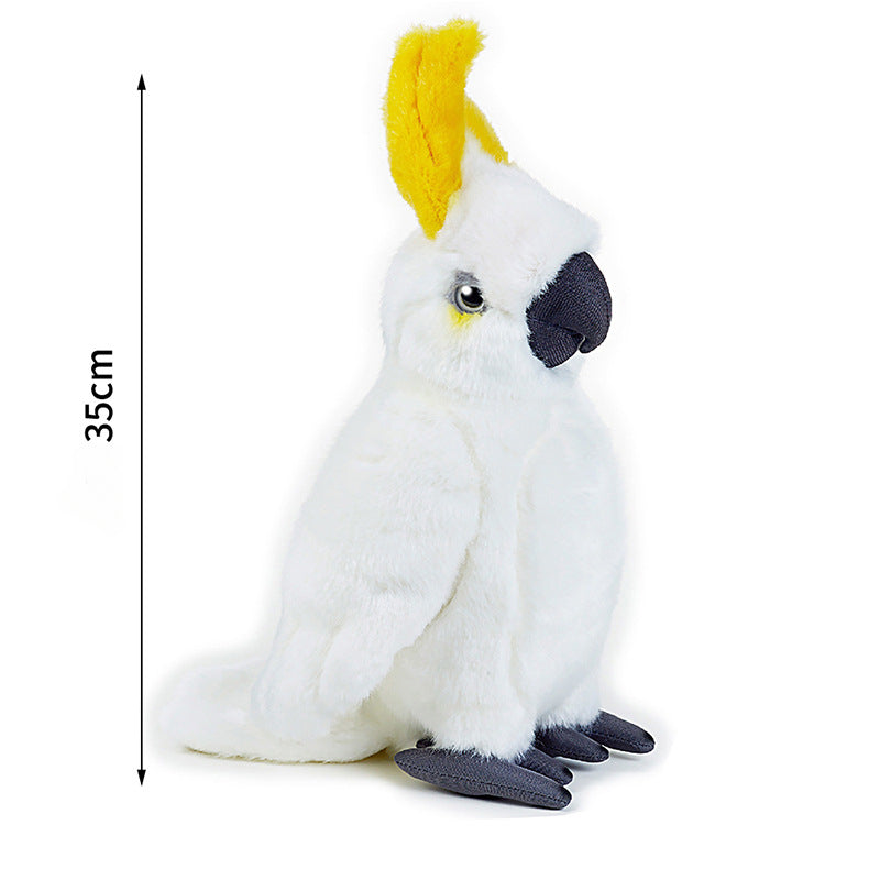 Cockatoo