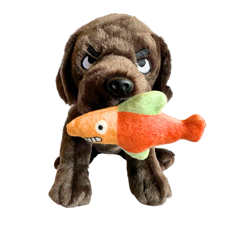 Dunkin The Knife Dog