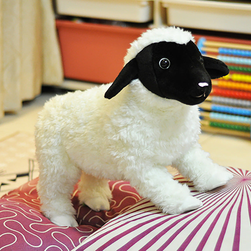 Valais Blacknose Sheep