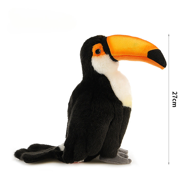 Toco Toucan