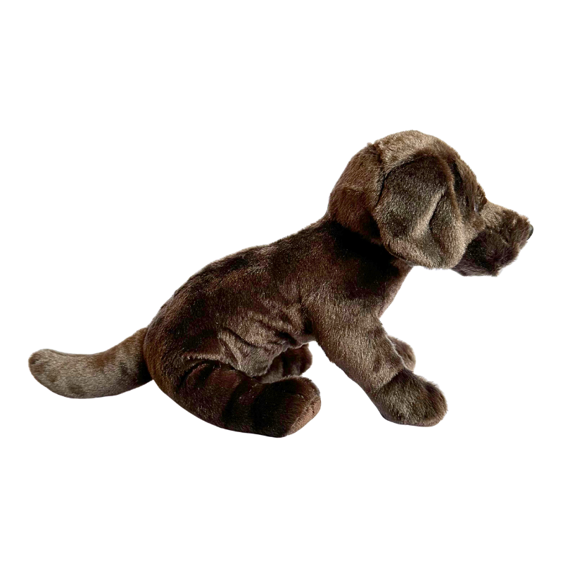 Dunkin The Knife Dog