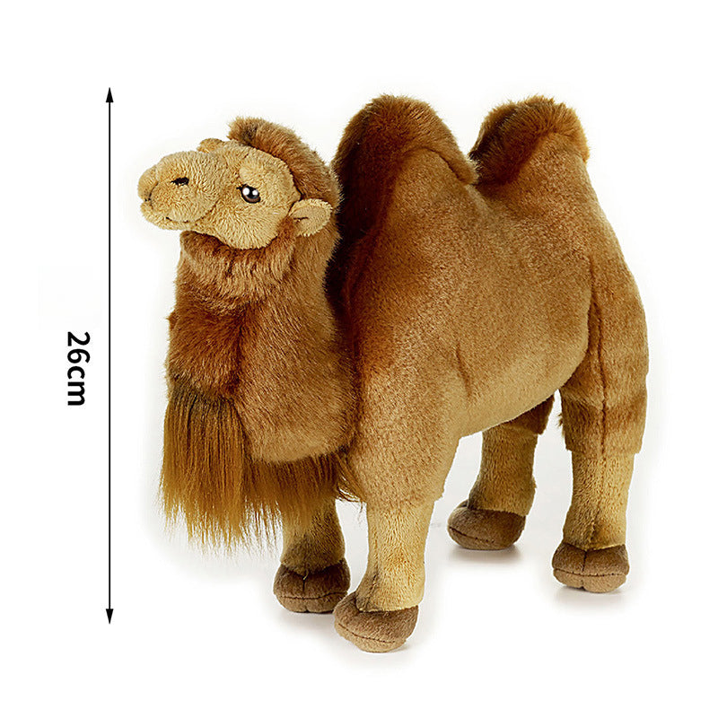Bactrian Camel