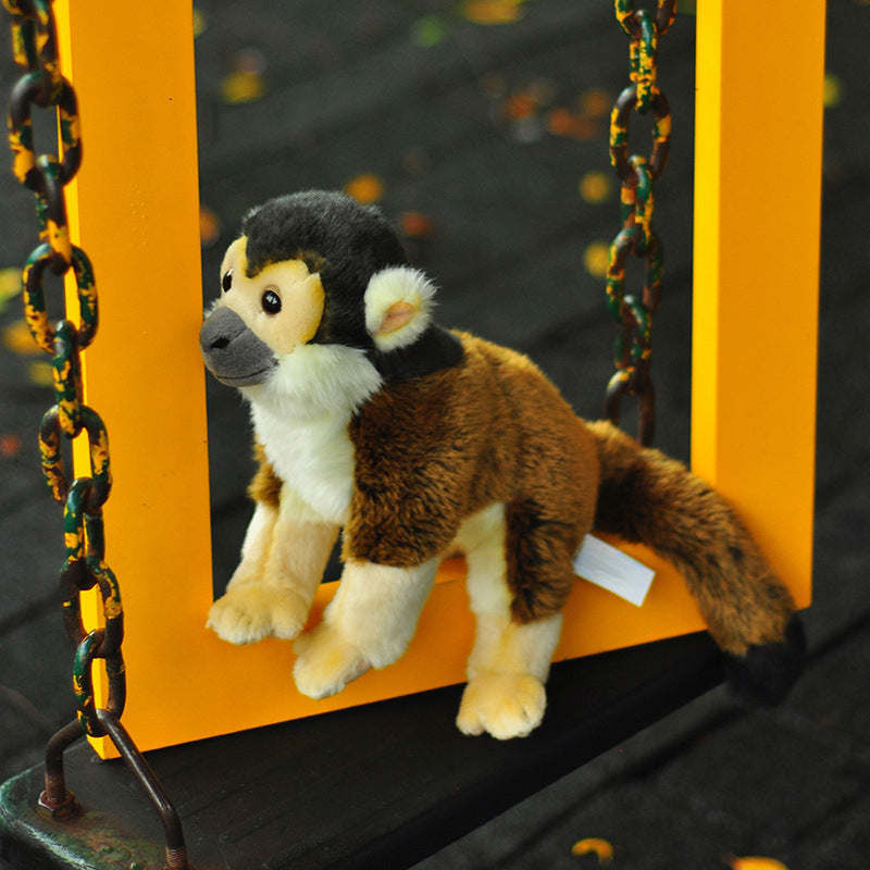 Squirrel Monkey