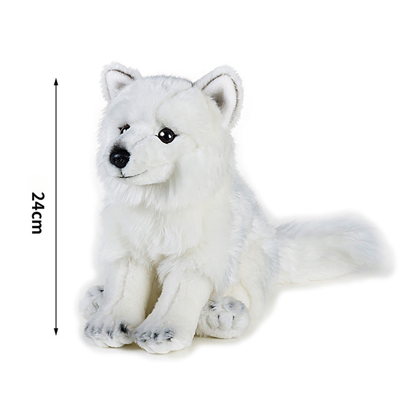 Arctic White Fox