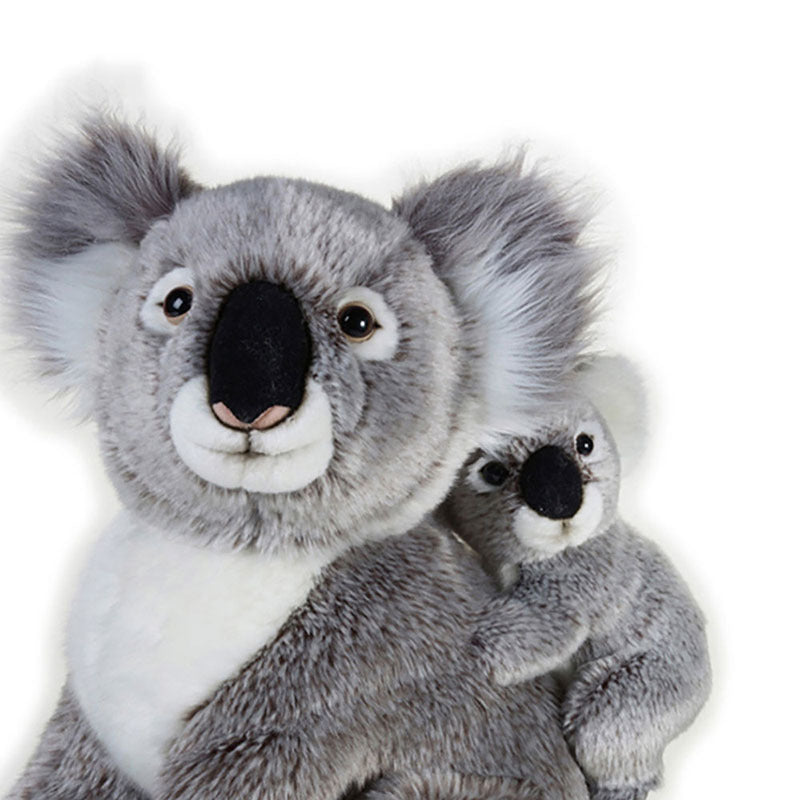 Koala Mother and Baby