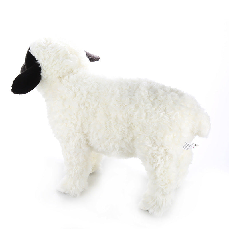 Valais Blacknose Sheep