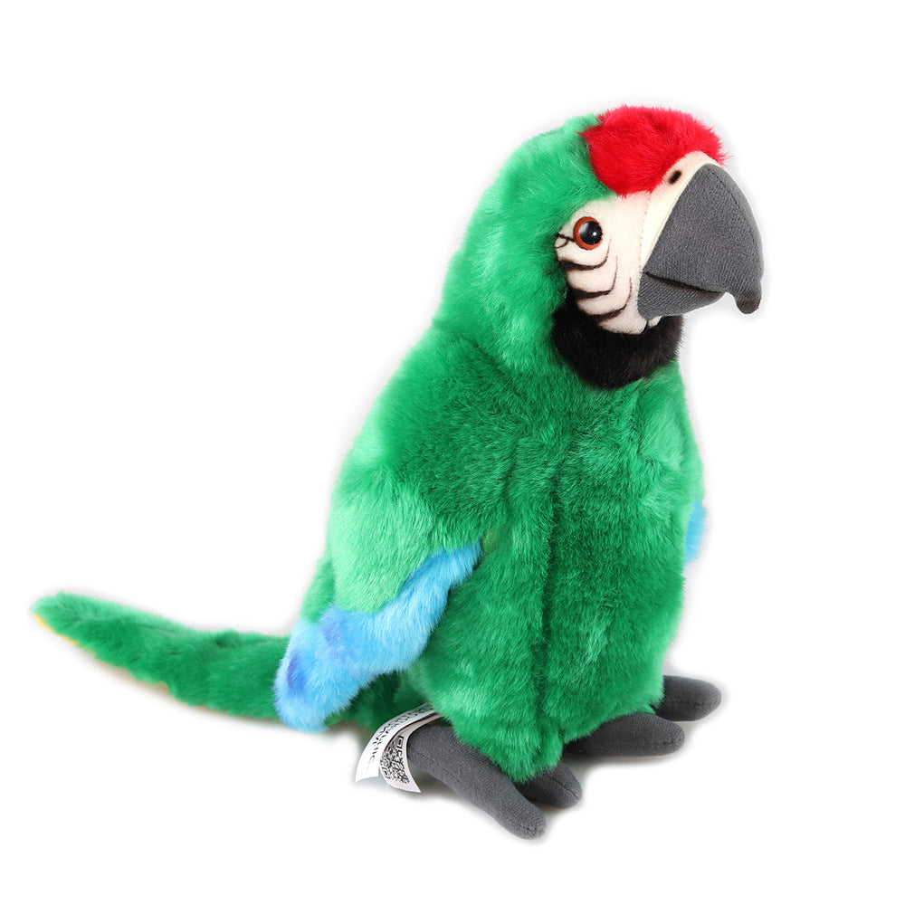 Scarlet Macaw