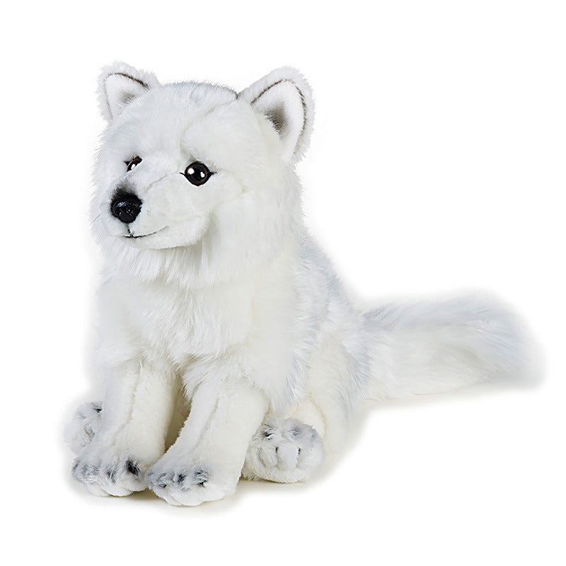 Arctic White Fox