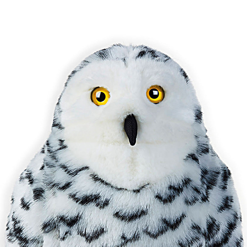 Snowy Owl