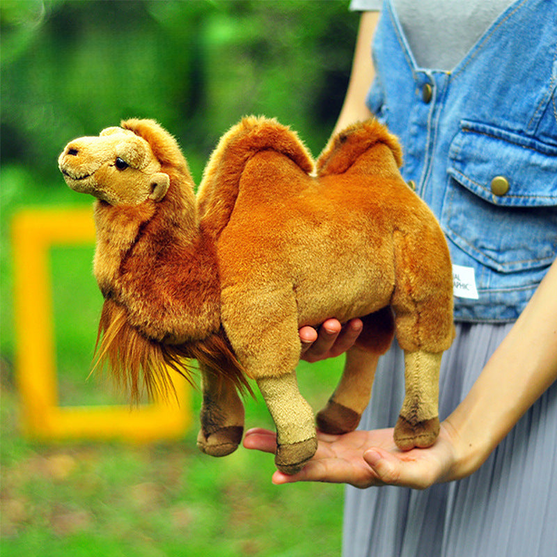 Bactrian Camel