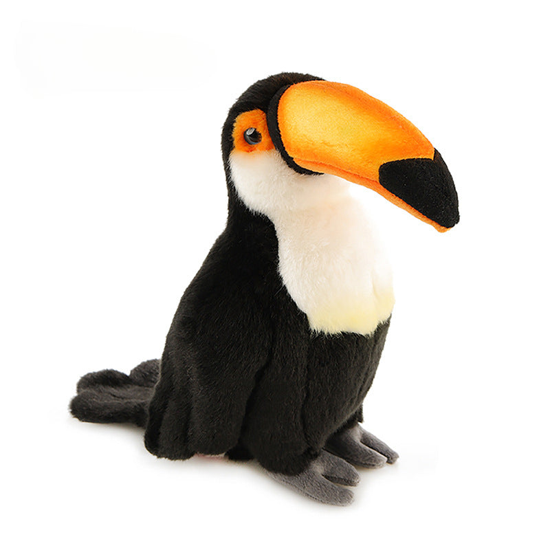 Toco Toucan