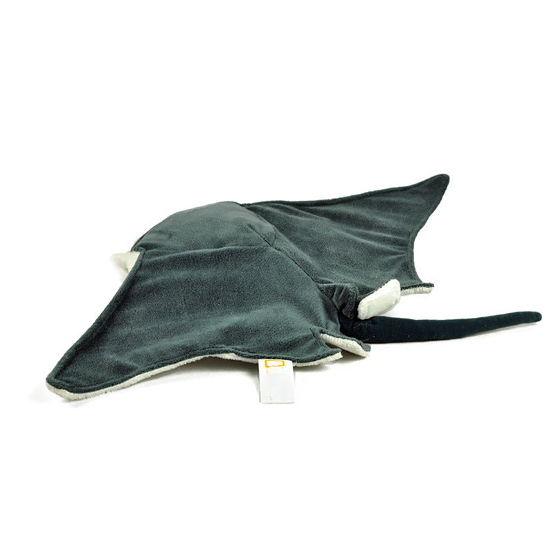 Manta Ray