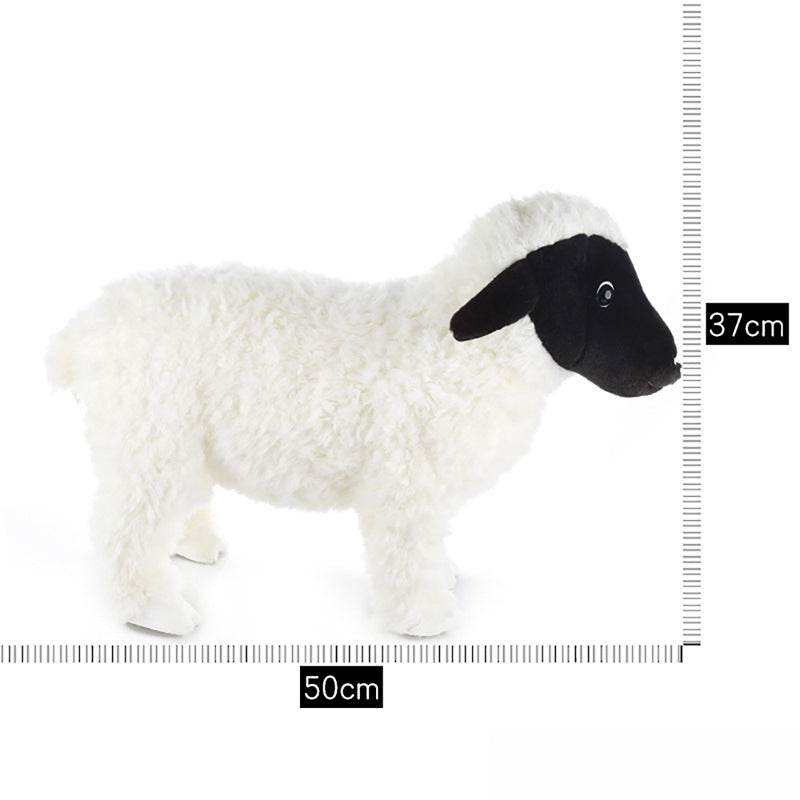 Valais Blacknose Sheep