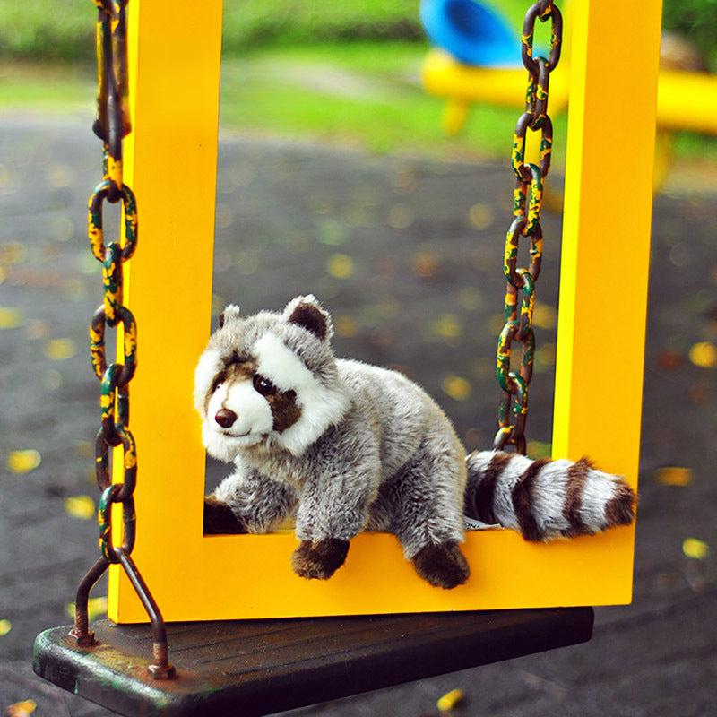 Racoon