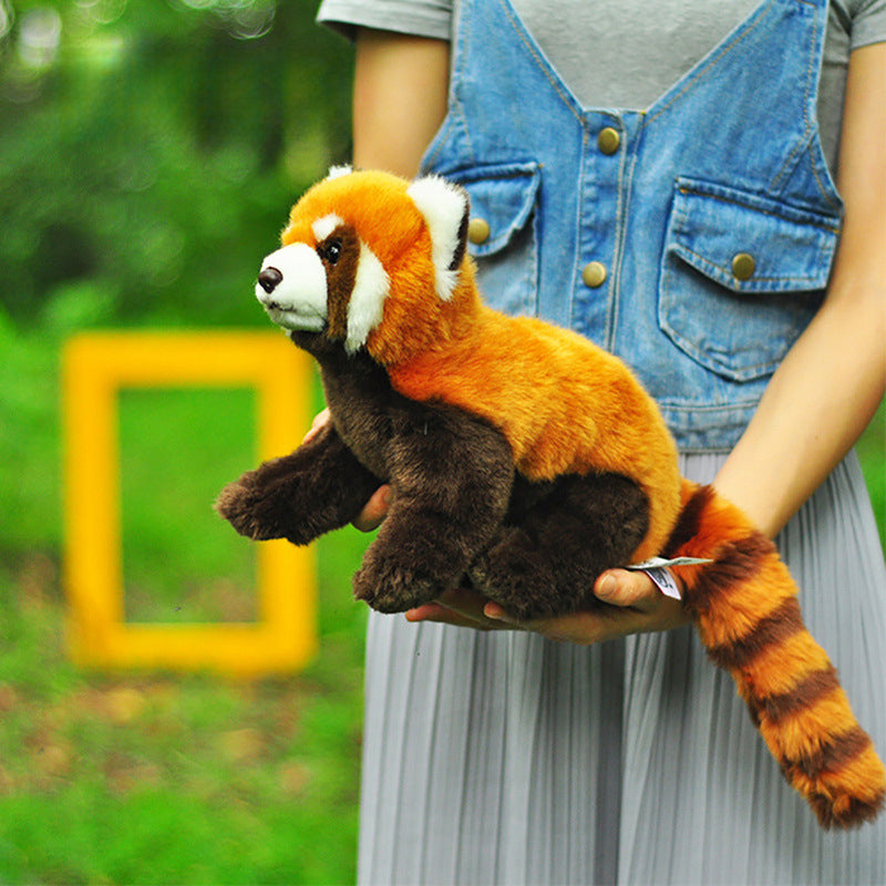Red Panda