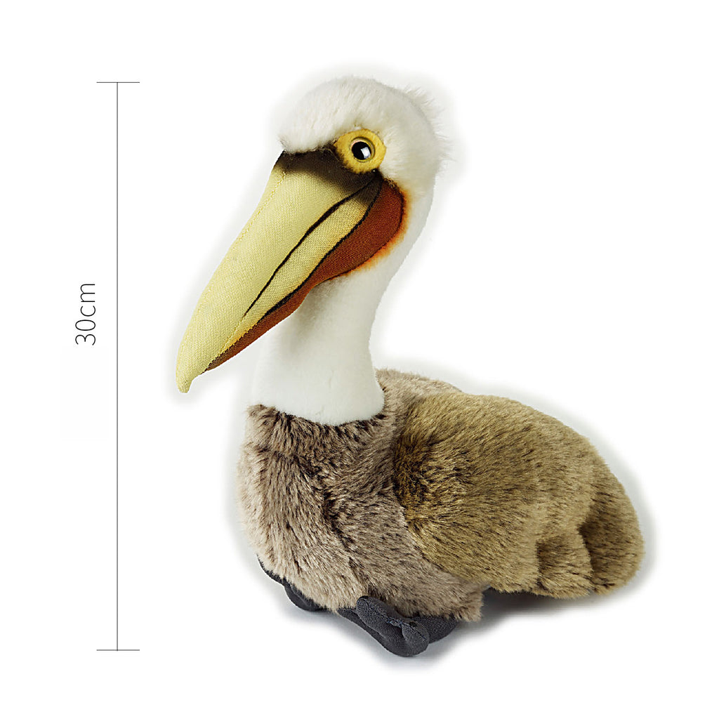 Pelican