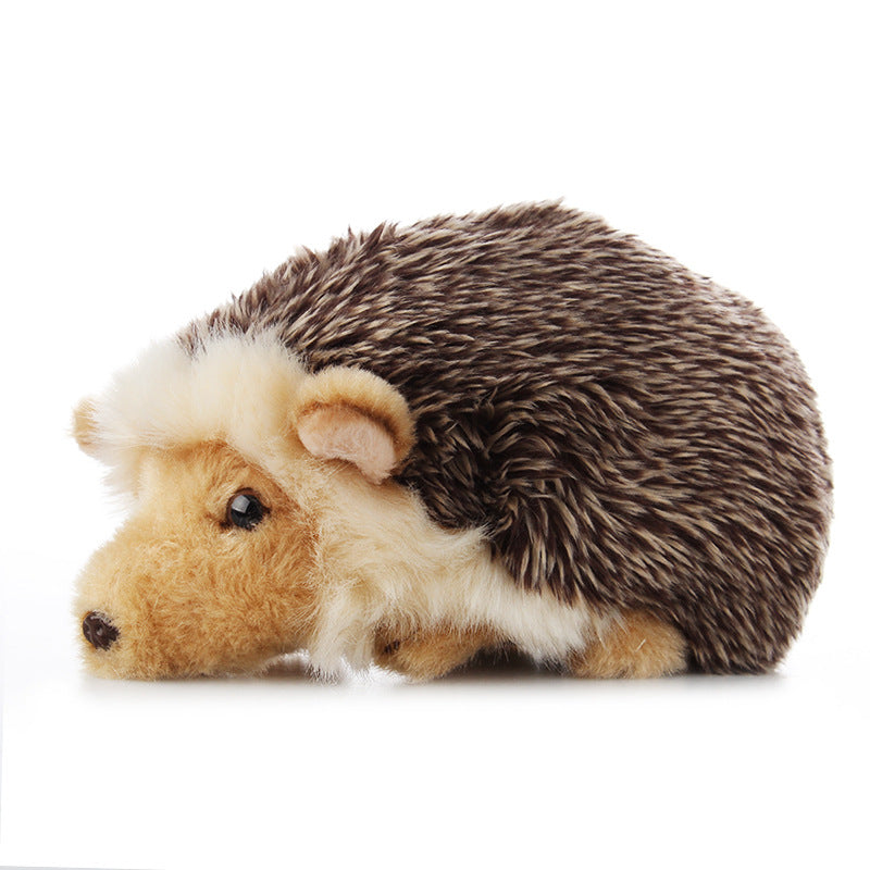 Hedgehog